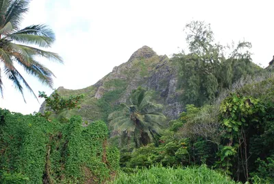 2007_05_30_HAWAII (130) (Large).JPG
